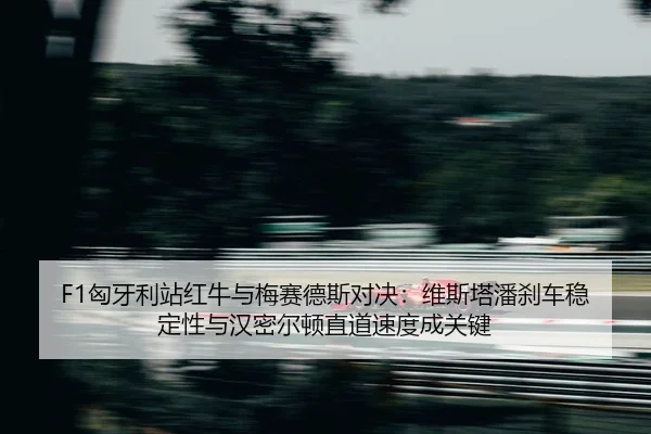 xiong-ya-li-zhan-hong-niu-yu-mei-sai-de-si-dui-jue-wei-si-ta-pan-sha-che-wen-ding-xing-yu-han-mi-er-dun-zhi-dao-su-du-2-652.jpg
