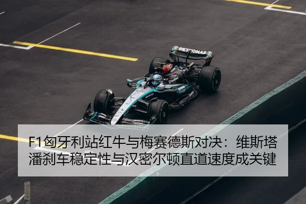 xiong-ya-li-zhan-hong-niu-yu-mei-sai-de-si-dui-jue-wei-si-ta-pan-sha-che-wen-ding-xing-yu-han-mi-er-dun-zhi-dao-su-du-3-571.jpg