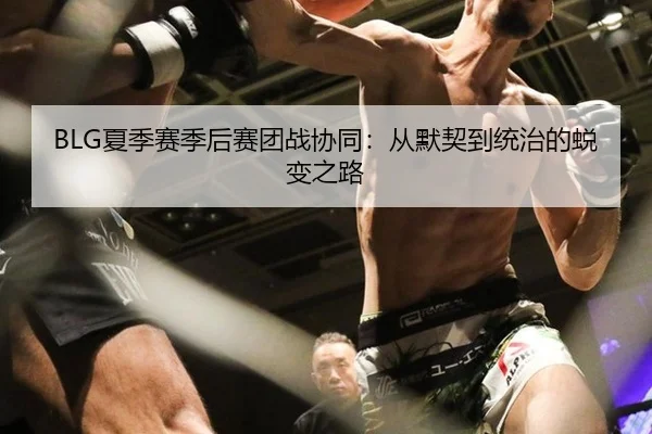 BLG夏季赛季后赛团战协同：从默契到统治的蜕变之路