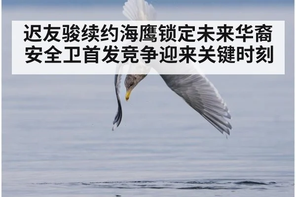迟友骏续约海鹰锁定未来华裔安全卫首发竞争迎来关键时刻